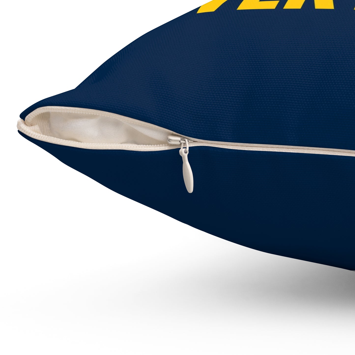 University of Michigan Pillow